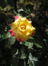 P1010070
